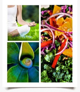Image of Balanced Life & Mind Body Spirit Nutrition