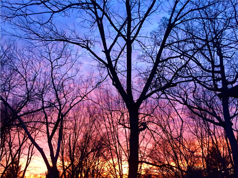 blog-images-sunset